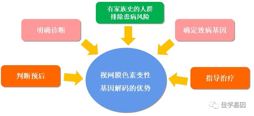 【佳学基因案例】视网膜色素变性基因检测、基因解码